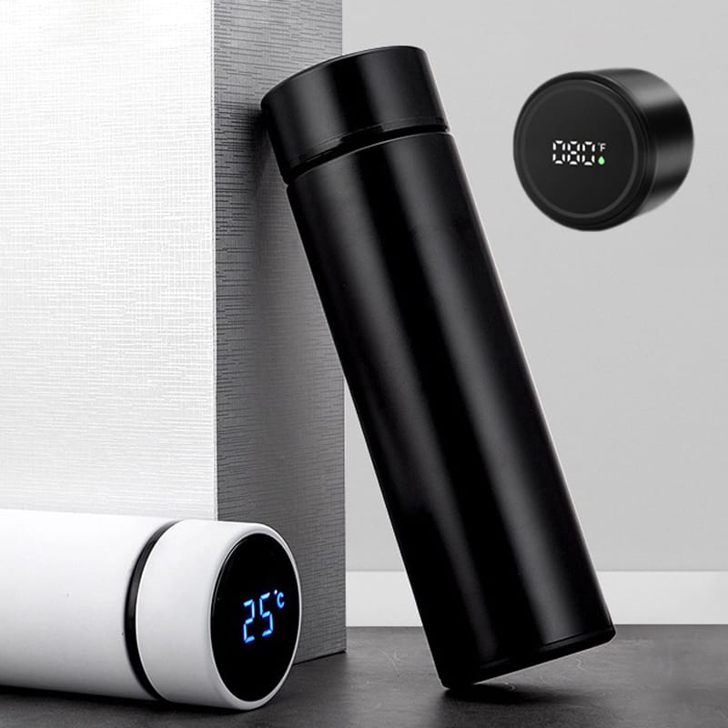 Temperature Water Bottle
