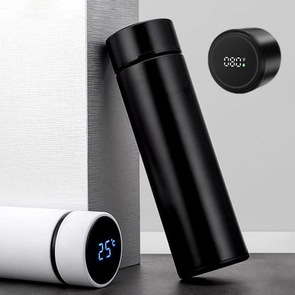 Temperature Water Bottle